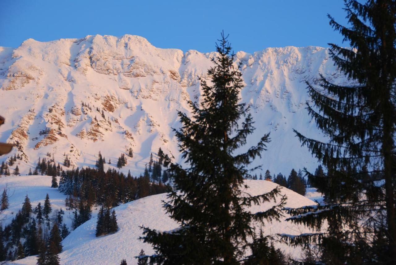 Fewo Heitmann Oberjoch Luaran gambar
